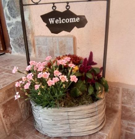 Apartman Anna Apartment Veľky Slavkov Bagian luar foto